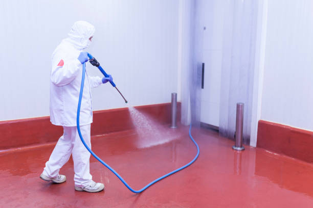 Best Spring Cleaning  in Easton, PA
